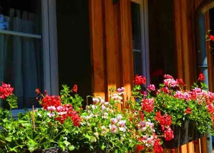 Lilie Hof Stallegg * Löffingen